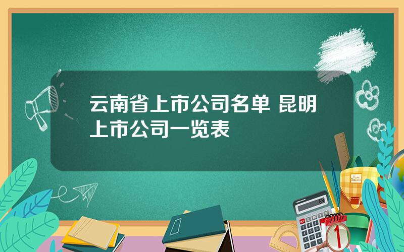 云南省上市公司名单 昆明上市公司一览表